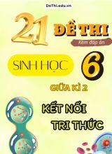 Tuyển tập 21 Đề thi giữa Kì 2 môn Sinh Học 6 sách Kết Nối Tri Thức (Kèm đáp án)